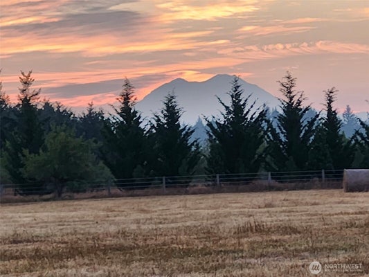 177 POETSCH RD, TOLEDO, WA 98591 - Image d4f6a8d3d49481b23067c32cc75a2d90/4109507590
