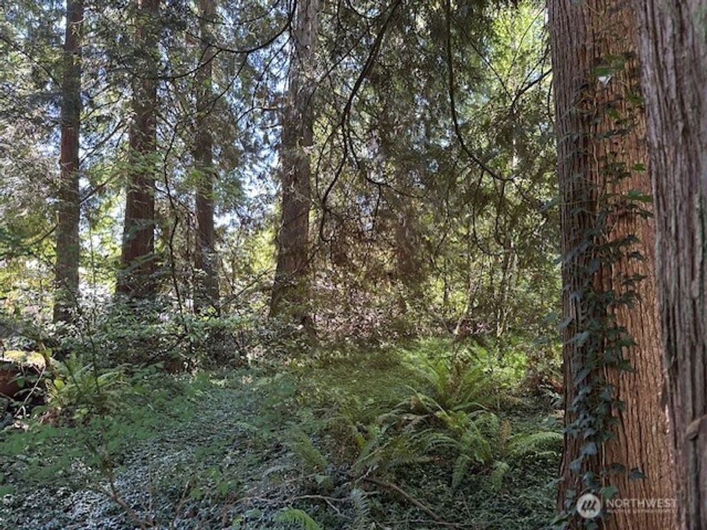 Photo of 13705 W Lake Kathleen Drive SE, Renton, WA 98039 (MLS # 2389793)