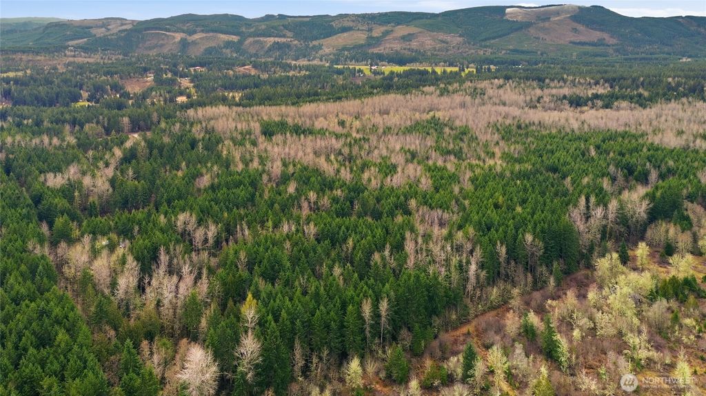 Photo of 14645 164th Lane SE, Rainier, WA 98576 (MLS # 2483413)