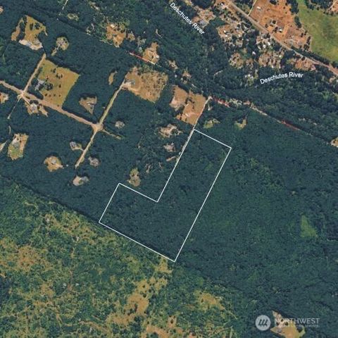 14645 164th Lane SE Rainier WA 98576