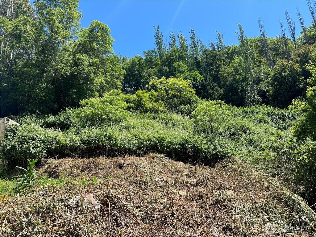 Photo of 79 XX Military Road S, Seattle, WA 98108 (MLS # 2471236)