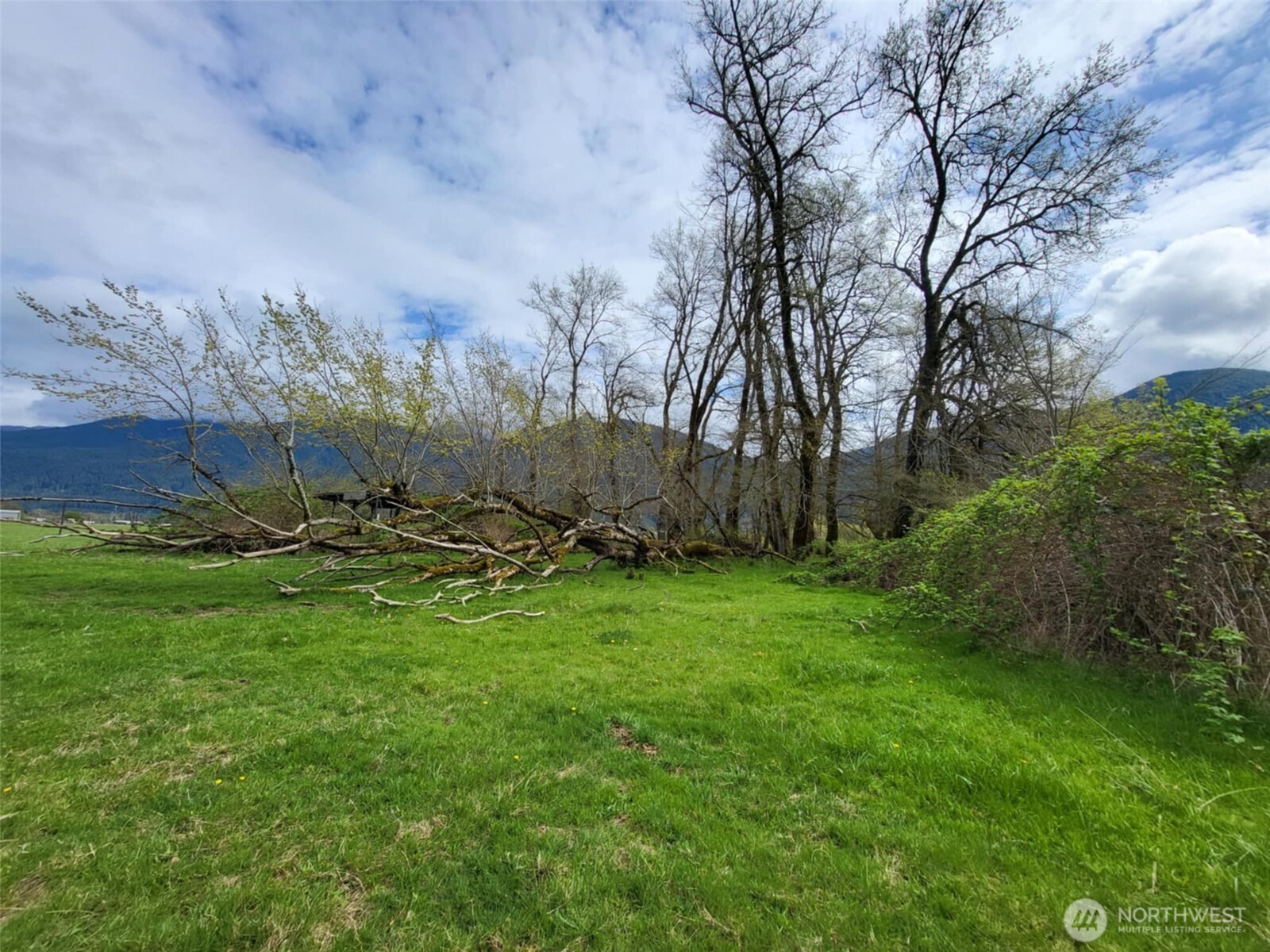 241 Pompey Peak Dr/104 Horseshoe