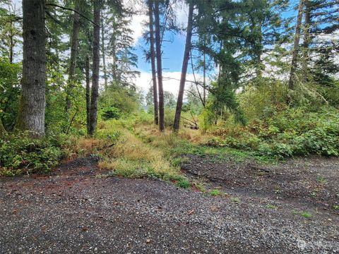 11736 Vail Cut Off Road SE Rainier WA 98576