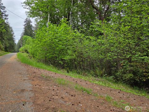 Photo of 181 E Peale Drive, Shelton, WA 98584 (MLS # 2522652)