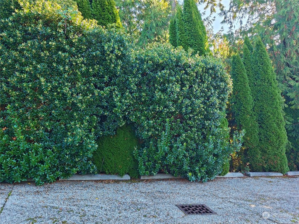 Photo of 1518 207th Avenue NE, Sammamish, WA 98074 (MLS # 2309297)