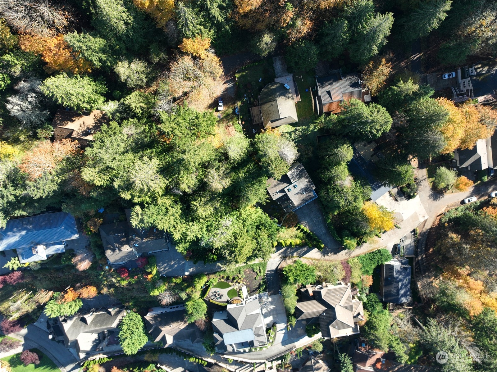 1518 207th Avenue NE