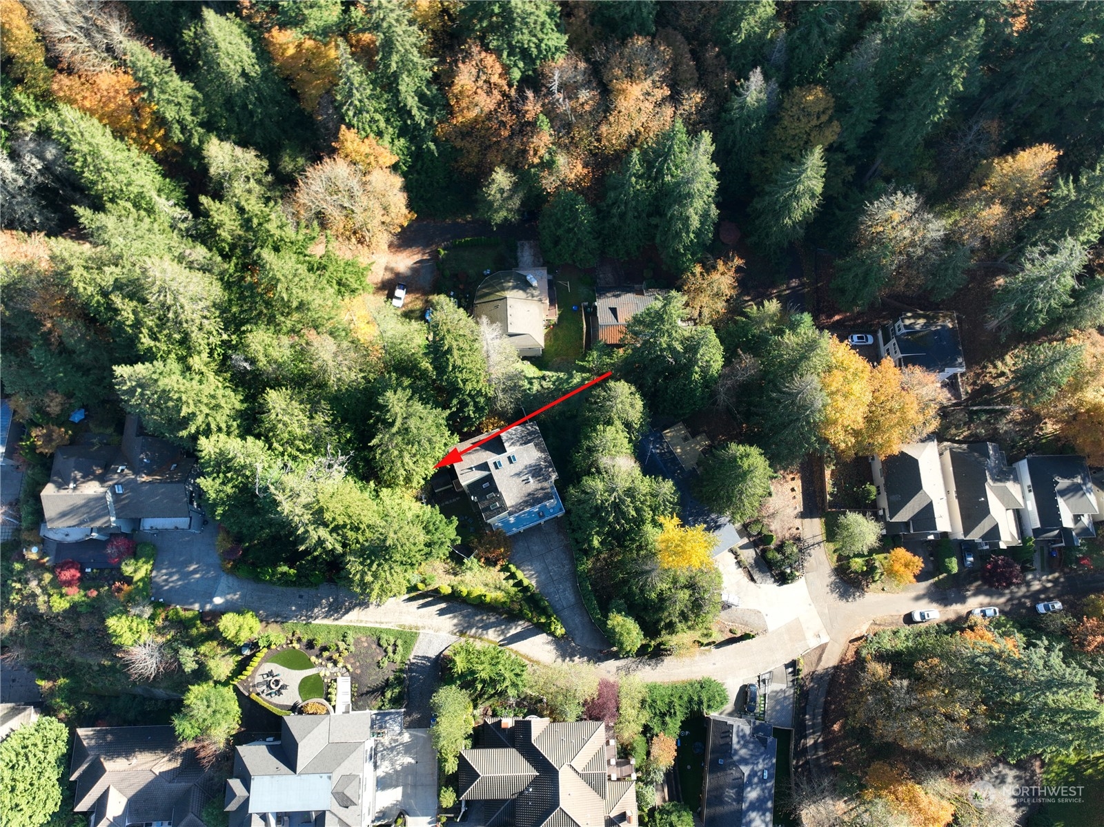 1518 207th Avenue NE