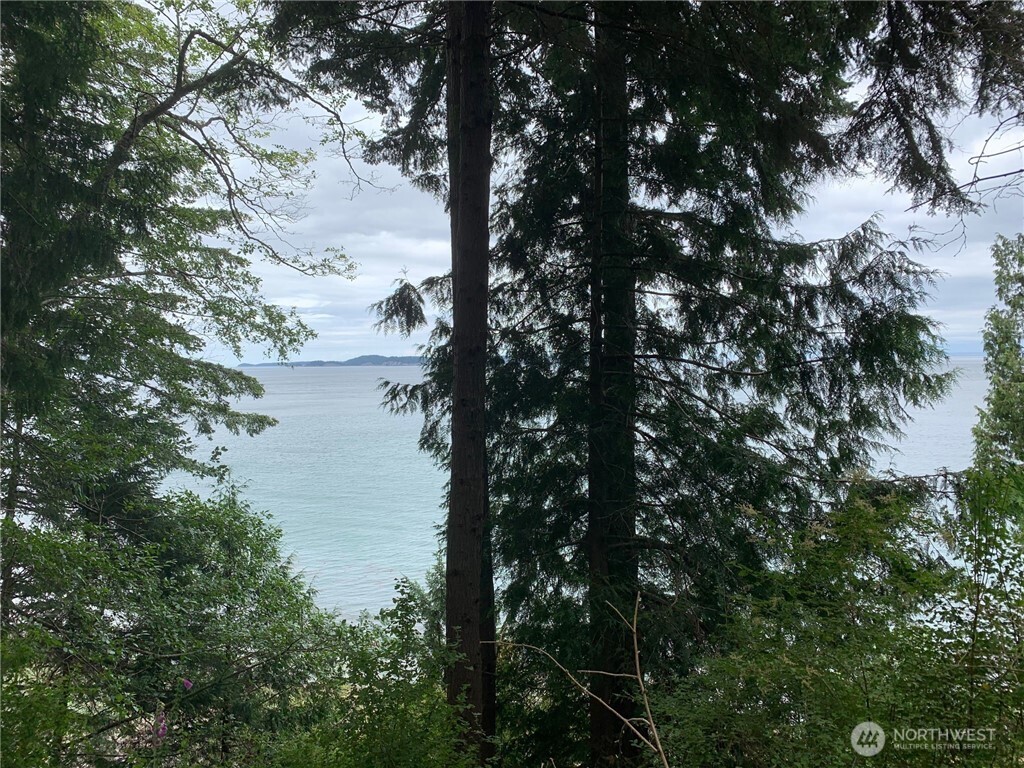 547 Raccoon Point Road