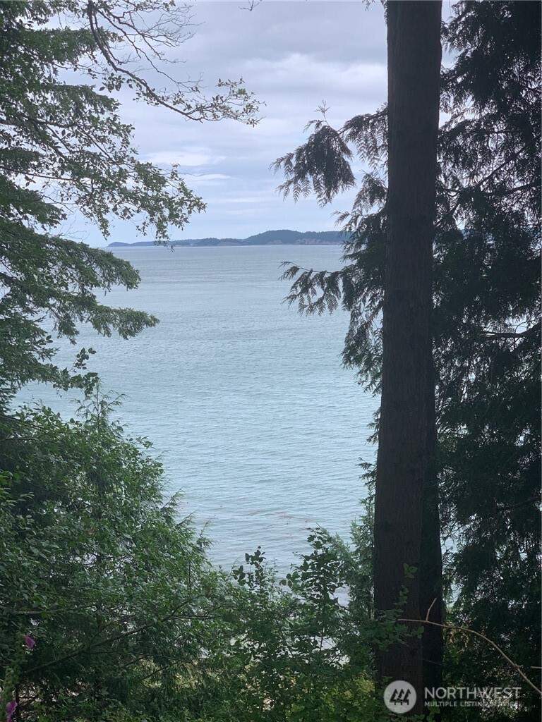 547 Raccoon Point Road