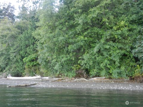 9999 Harrington Dr. Quilcene WA 98376