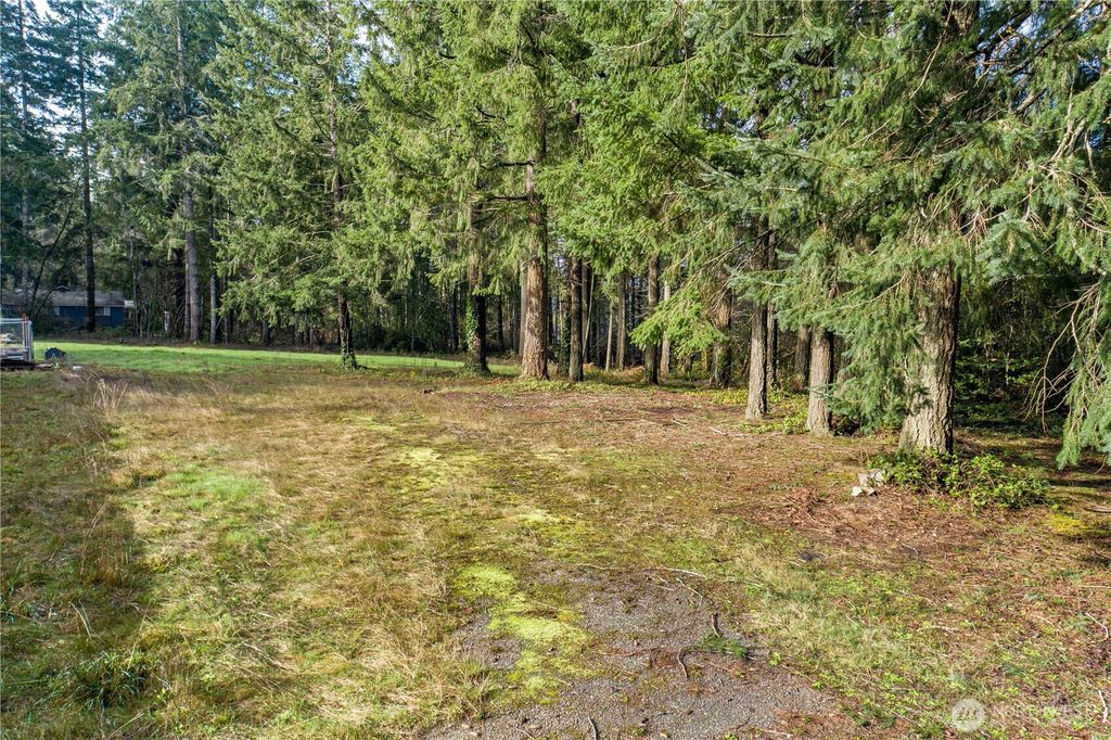 Photo of 0 Satsop Avenue, Shelton, WA 98584 (MLS # 2477955)