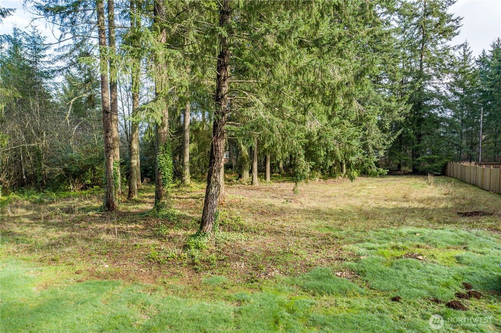 Photo of 0 Satsop Avenue, Shelton, WA 98584 (MLS # 2477955)