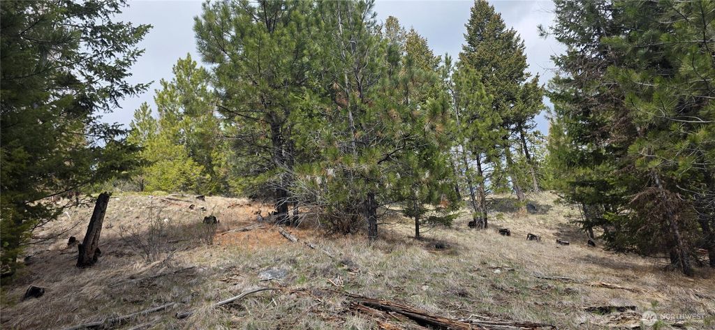 Photo of 1111 TBD Bandtman Rd, Tonasket, WA 98844 (MLS # 2513846)