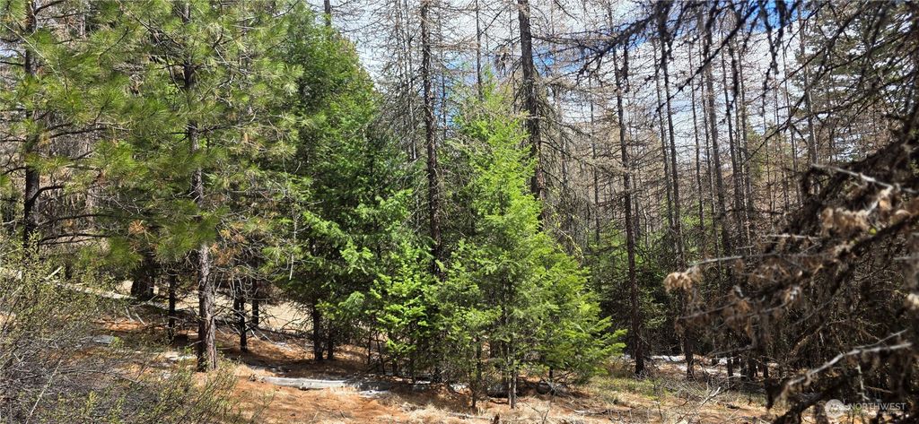 Photo of 1111 TBD Bandtman Rd, Tonasket, WA 98844 (MLS # 2513846)