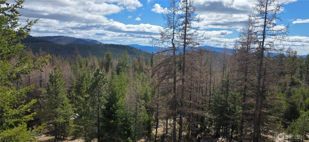 Photo of 1111 TBD Bandtman Rd, Tonasket, WA 98844 (MLS # 2513846)