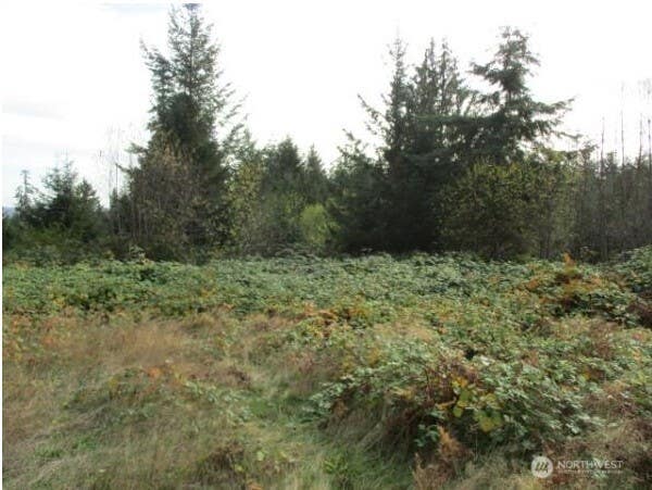 Photo of 0 No Site Address, Port Ludlow, WA 98365 (MLS # 2562089)