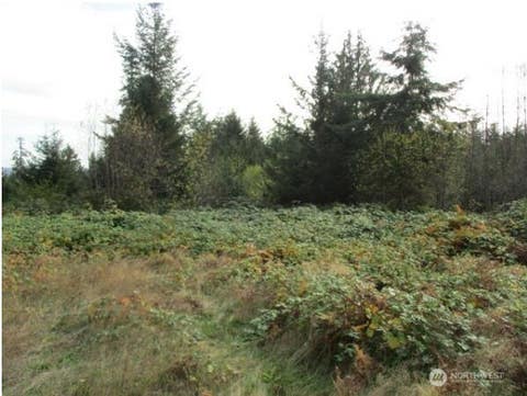 Photo of 0 No Site Address, Port Ludlow, WA 98365 (MLS # 2562089)