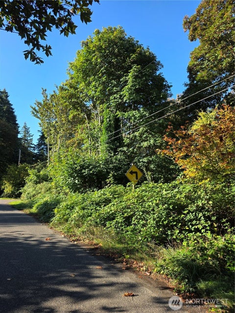 Photo of 0 Huston Street, Tenino, WA 98589 (MLS # 2586315)