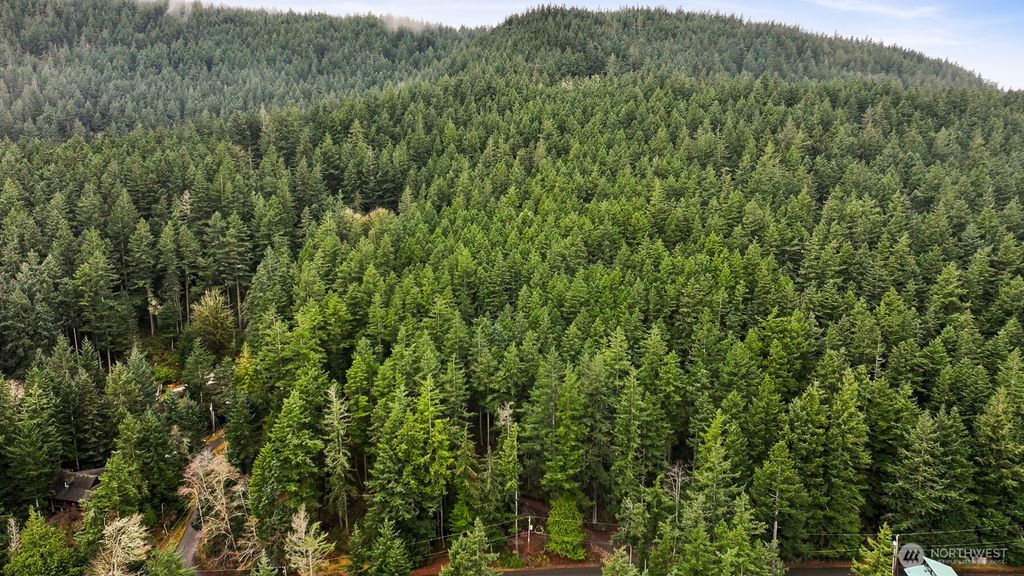 Photo of 3073 Hales Passage Drive, Lummi Island, WA 98262 (MLS # 2490420)