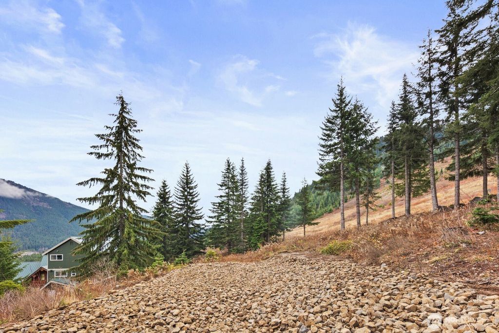 Photo of 321 Innsbruck Drive, Snoqualmie Pass, WA 98068 (MLS # 2456123)