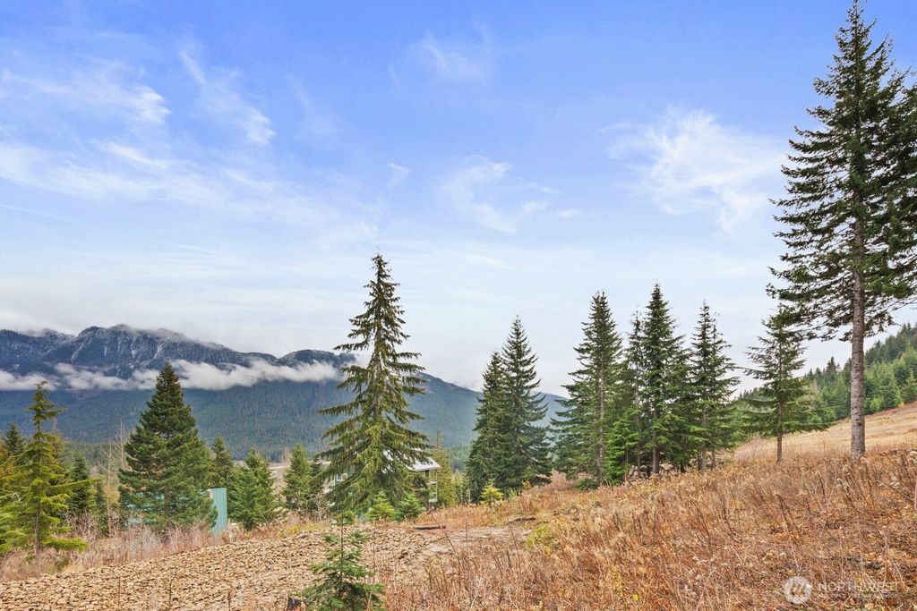 Photo of 321 Innsbruck Drive, Snoqualmie Pass, WA 98068 (MLS # 2456123)