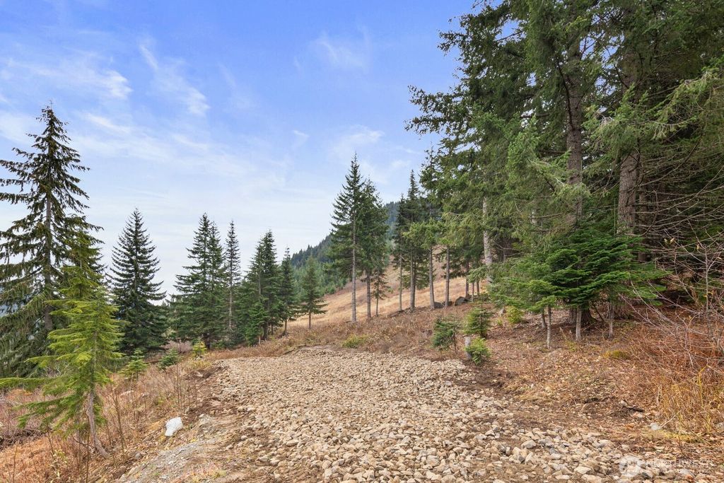 Photo of 321 Innsbruck Drive, Snoqualmie Pass, WA 98068 (MLS # 2456123)