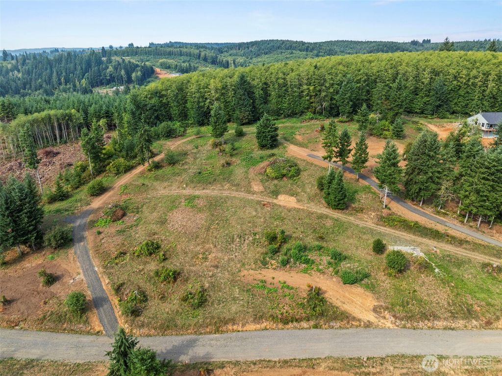 Photo of 280 Bison Run Road, Longview, WA 98632 (MLS # 2470020)