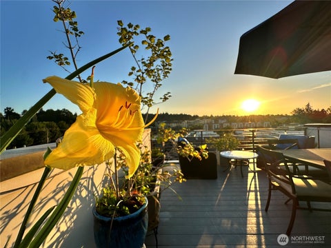 Photo of 3638 Courtland Place S #B, Seattle, WA 98144 (MLS # 2562338)