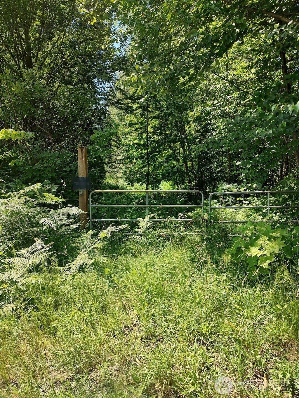 Photo of 0 Custer School Road, Custer, WA 98240 (MLS # 2540089)