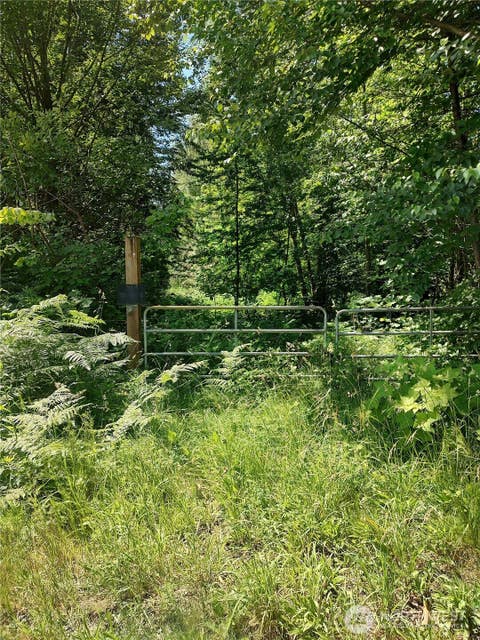 Photo of 0 Custer School Road, Custer, WA 98240 (MLS # 2540089)