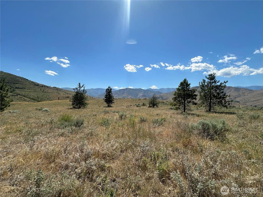 Photo of 0 TBD Peterson Ranch Road, Pateros, WA 98846 (MLS # 2542627)
