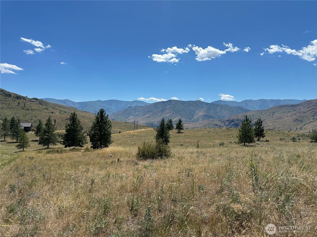 Photo of 0 TBD Peterson Ranch Road, Pateros, WA 98846 (MLS # 2542627)
