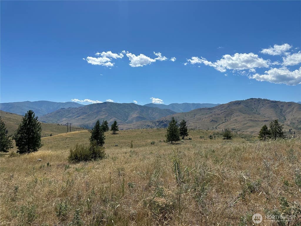 Photo of 0 TBD Peterson Ranch Road, Pateros, WA 98846 (MLS # 2542627)