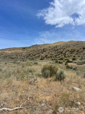 410 BILL SHAW RD LOT 2, PATEROS, WA 98846 - Image d623274ec2a7b1c0c874e97570dffeec/522509271