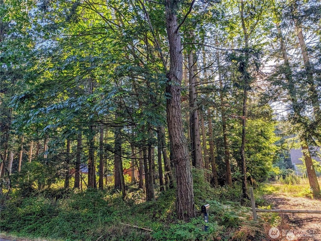 Photo of 168 Tyee Drive, Point Roberts, WA 98281 (MLS # 2508620)