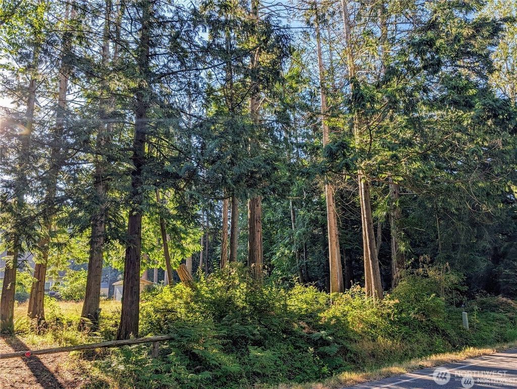 Photo of 168 Tyee Drive, Point Roberts, WA 98281 (MLS # 2508620)