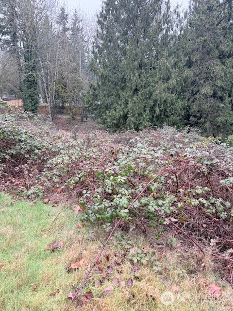 14708 SE 145th Place
