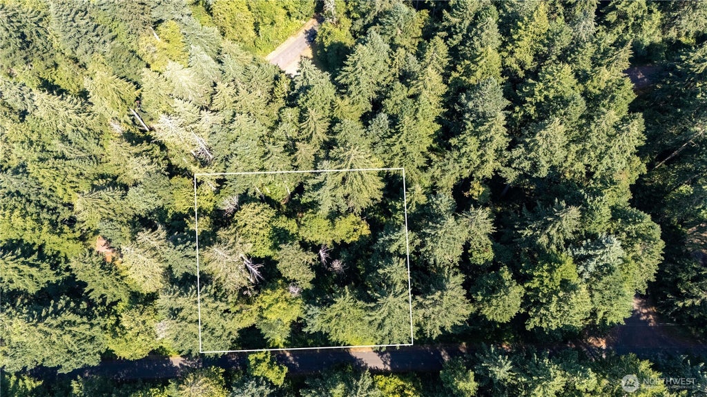 Photo of 8819 Eckenstam Johnson Road, Anderson Island, WA 98303 (MLS # 2576452)