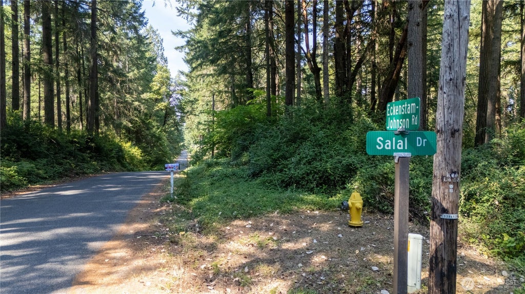 Photo of 8819 Eckenstam Johnson Road, Anderson Island, WA 98303 (MLS # 2576452)