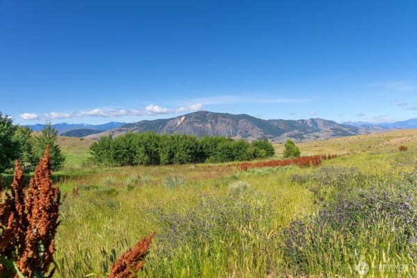 121 FINLEY CANYON RD, TWISP, WA 98856 - Image d653ad0abc8ddbf5cf3df1c5b7866eca/732654129