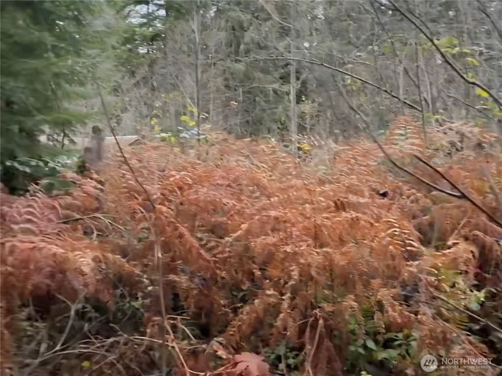 Photo of 31518 557th Street Ct, Ashford, WA 98304 (MLS # 2468473)