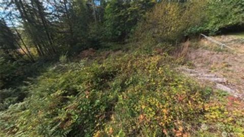 Photo of 130 LOT: B, PTN BLK: 15, Hoodsport, WA 98548 (MLS # 2504146)