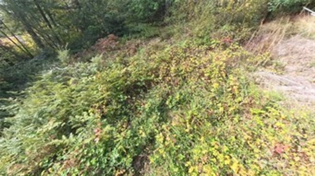 Photo of 130 LOT: B, PTN BLK: 15, Hoodsport, WA 98548 (MLS # 2504146)