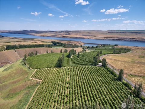 Photo of 17 Sundale Drive, Roosevelt, WA 99356 (MLS # 2436961)