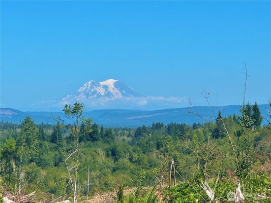 201 SAWALL AVE, CENTRALIA, WA 98531 - Image d67af1c41b27c4ca8a690a512e516ad2/1464097510