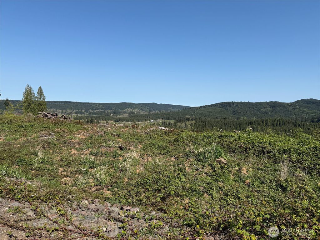 Photo of 6 xx Oppelt Road, Chehalis, WA 98532 (MLS # 2507142)