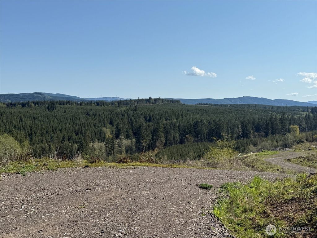 Photo of 6 xx Oppelt Road, Chehalis, WA 98532 (MLS # 2507142)