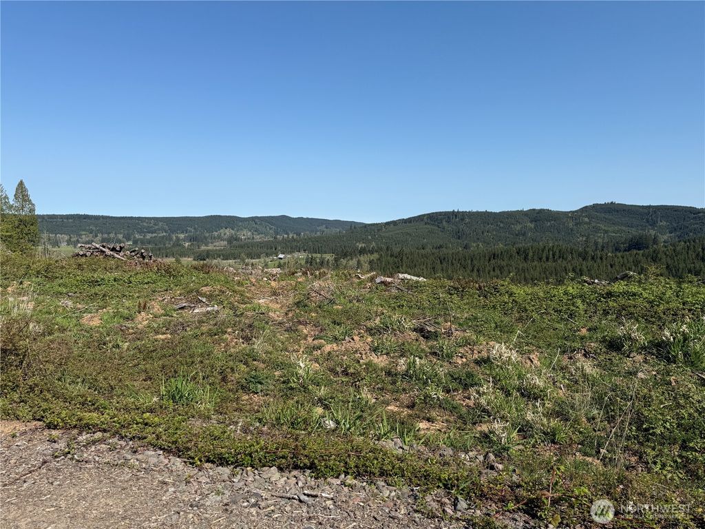 Photo of 6 xx Oppelt Road, Chehalis, WA 98532 (MLS # 2507142)