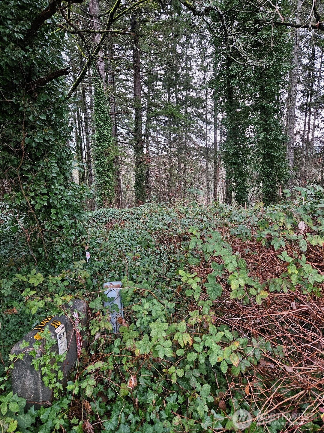 323 NE Barbara Boulevard