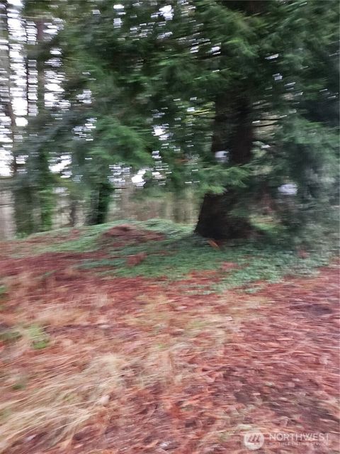 323 NE Barbara Boulevard Belfair WA 98528